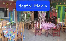 Hostal Maria